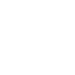 Logo Aquae Mattiacorum